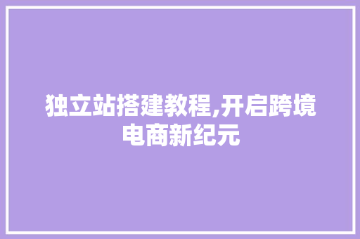 独立站搭建教程,开启跨境电商新纪元