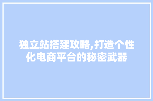 独立站搭建攻略,打造个性化电商平台的秘密武器