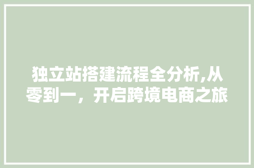 独立站搭建流程全分析,从零到一，开启跨境电商之旅