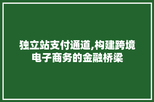 独立站支付通道,构建跨境电子商务的金融桥梁