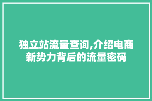 独立站流量查询,介绍电商新势力背后的流量密码