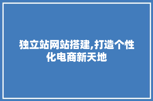 独立站网站搭建,打造个性化电商新天地