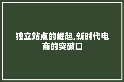 独立站点的崛起,新时代电商的突破口