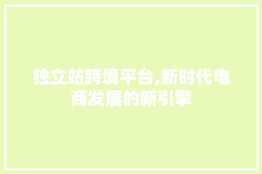 独立站跨境平台,新时代电商发展的新引擎