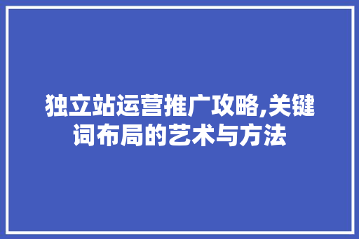 独立站运营推广攻略,关键词布局的艺术与方法
