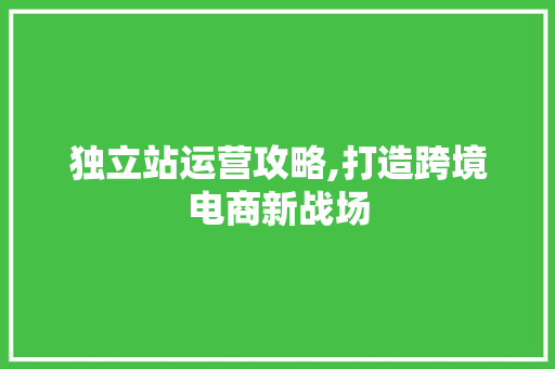 独立站运营攻略,打造跨境电商新战场