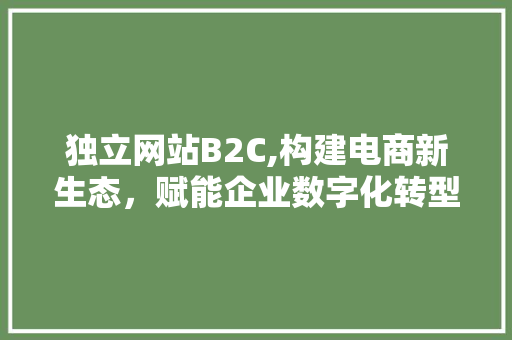 独立网站B2C,构建电商新生态，赋能企业数字化转型