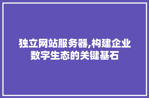 独立网站服务器,构建企业数字生态的关键基石
