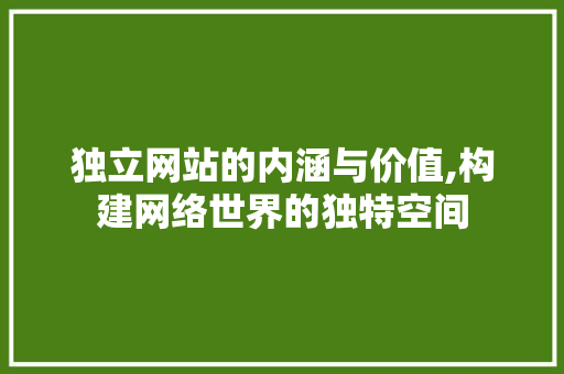 独立网站的内涵与价值,构建网络世界的独特空间