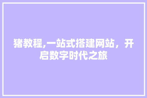 猪教程,一站式搭建网站，开启数字时代之旅
