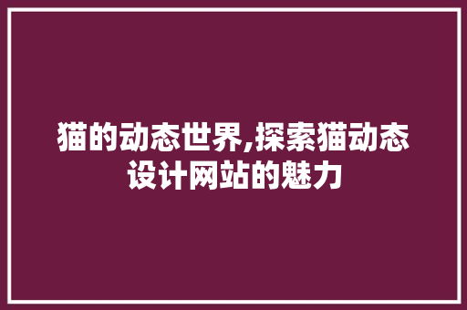 猫的动态世界,探索猫动态设计网站的魅力
