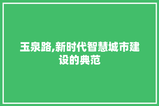 玉泉路,新时代智慧城市建设的典范