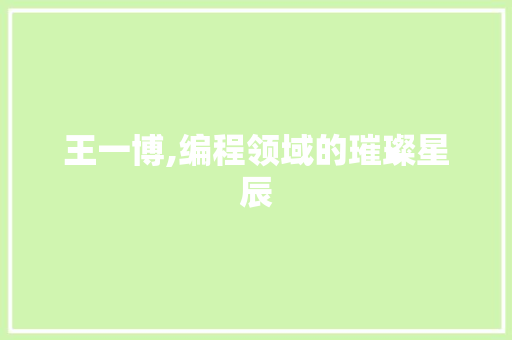 王一博,编程领域的璀璨星辰