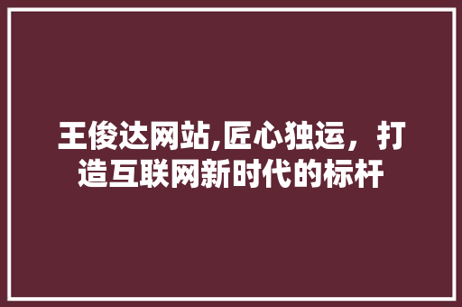 王俊达网站,匠心独运，打造互联网新时代的标杆