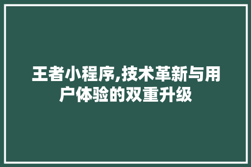 王者小程序,技术革新与用户体验的双重升级