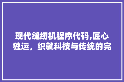 现代缝纫机程序代码,匠心独运，织就科技与传统的完美融合