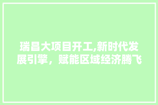 瑞昌大项目开工,新时代发展引擎，赋能区域经济腾飞