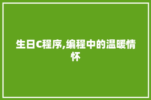 生日C程序,编程中的温暖情怀