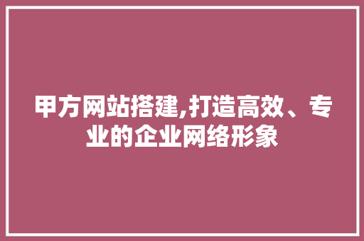 甲方网站搭建,打造高效、专业的企业网络形象
