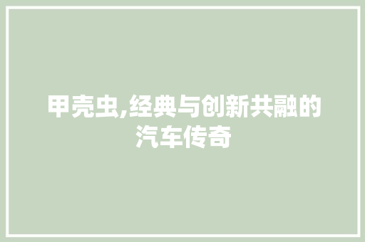 甲壳虫,经典与创新共融的汽车传奇