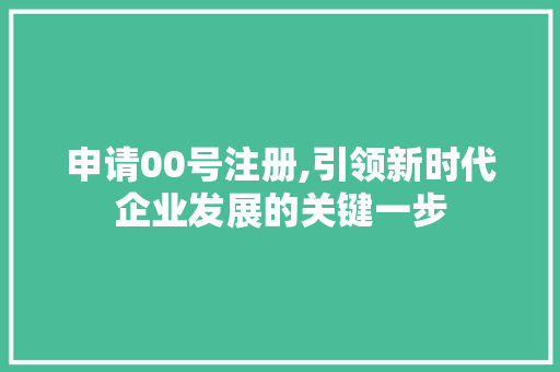 申请00号注册,引领新时代企业发展的关键一步
