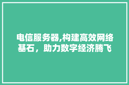 电信服务器,构建高效网络基石，助力数字经济腾飞