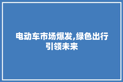 电动车市场爆发,绿色出行引领未来