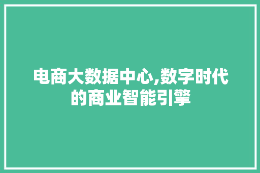 电商大数据中心,数字时代的商业智能引擎