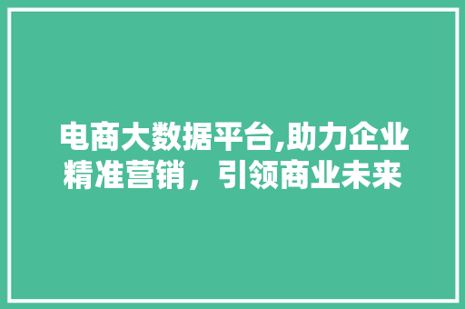 电商大数据平台,助力企业精准营销，引领商业未来