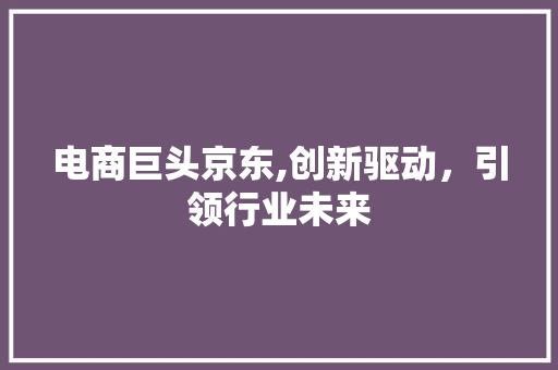 电商巨头京东,创新驱动，引领行业未来