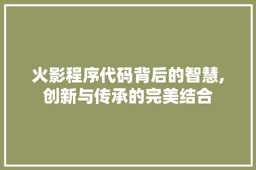 火影程序代码背后的智慧,创新与传承的完美结合
