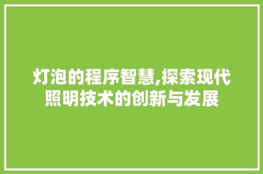 灯泡的程序智慧,探索现代照明技术的创新与发展
