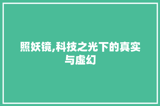照妖镜,科技之光下的真实与虚幻