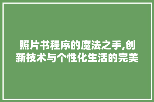 照片书程序的魔法之手,创新技术与个性化生活的完美融合