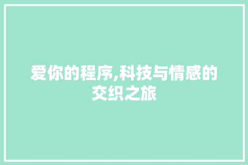 爱你的程序,科技与情感的交织之旅