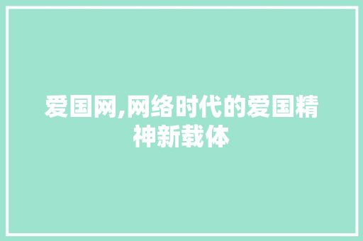 爱国网,网络时代的爱国精神新载体