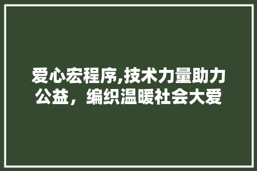 爱心宏程序,技术力量助力公益，编织温暖社会大爱