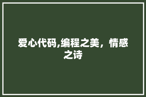 爱心代码,编程之美，情感之诗