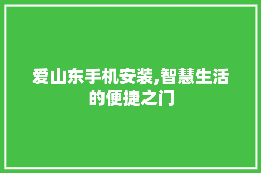 爱山东手机安装,智慧生活的便捷之门