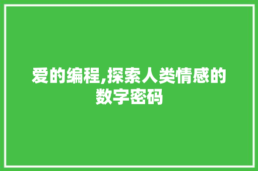 爱的编程,探索人类情感的数字密码