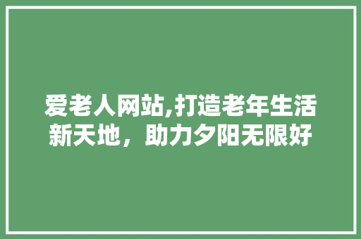 爱老人网站,打造老年生活新天地，助力夕阳无限好
