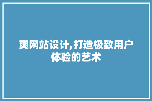 爽网站设计,打造极致用户体验的艺术