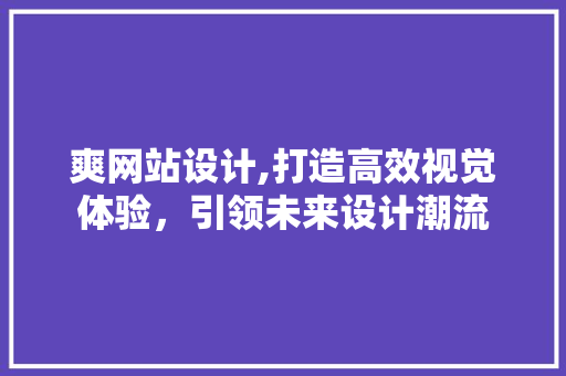 爽网站设计,打造高效视觉体验，引领未来设计潮流