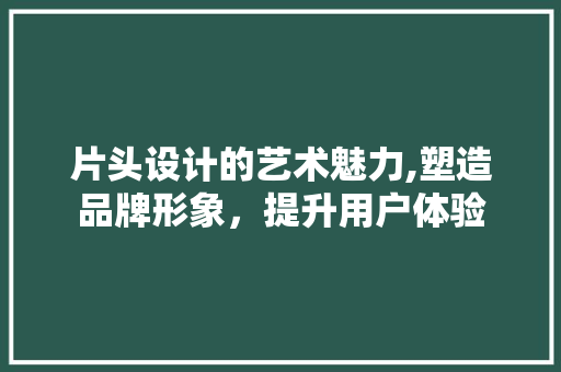 片头设计的艺术魅力,塑造品牌形象，提升用户体验