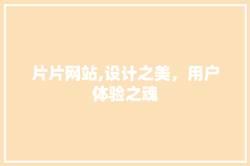 片片网站,设计之美，用户体验之魂