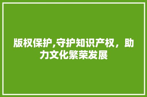 版权保护,守护知识产权，助力文化繁荣发展