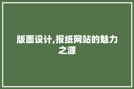 版面设计,报纸网站的魅力之源