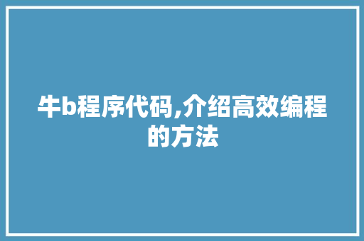 牛b程序代码,介绍高效编程的方法