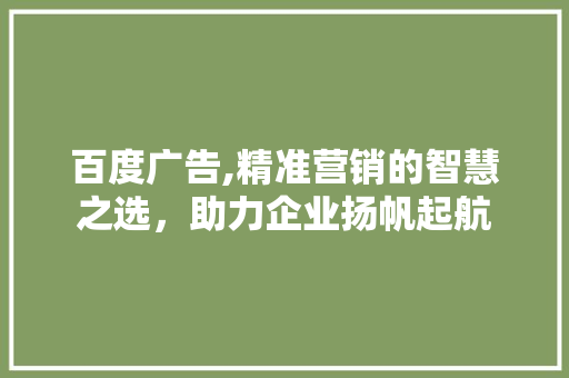 百度广告,精准营销的智慧之选，助力企业扬帆起航