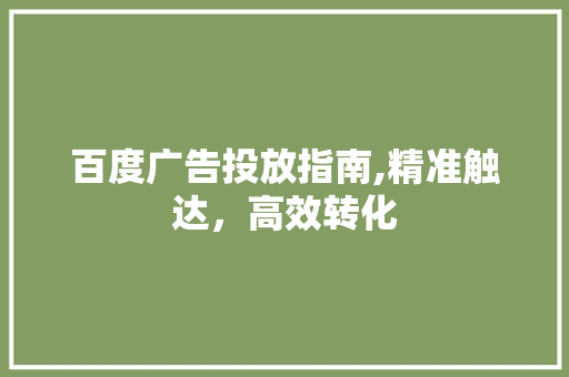 百度广告投放指南,精准触达，高效转化